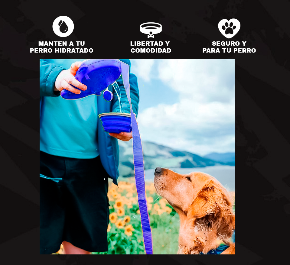 NO ASFIXIES A TU PERRO CON PAWLING